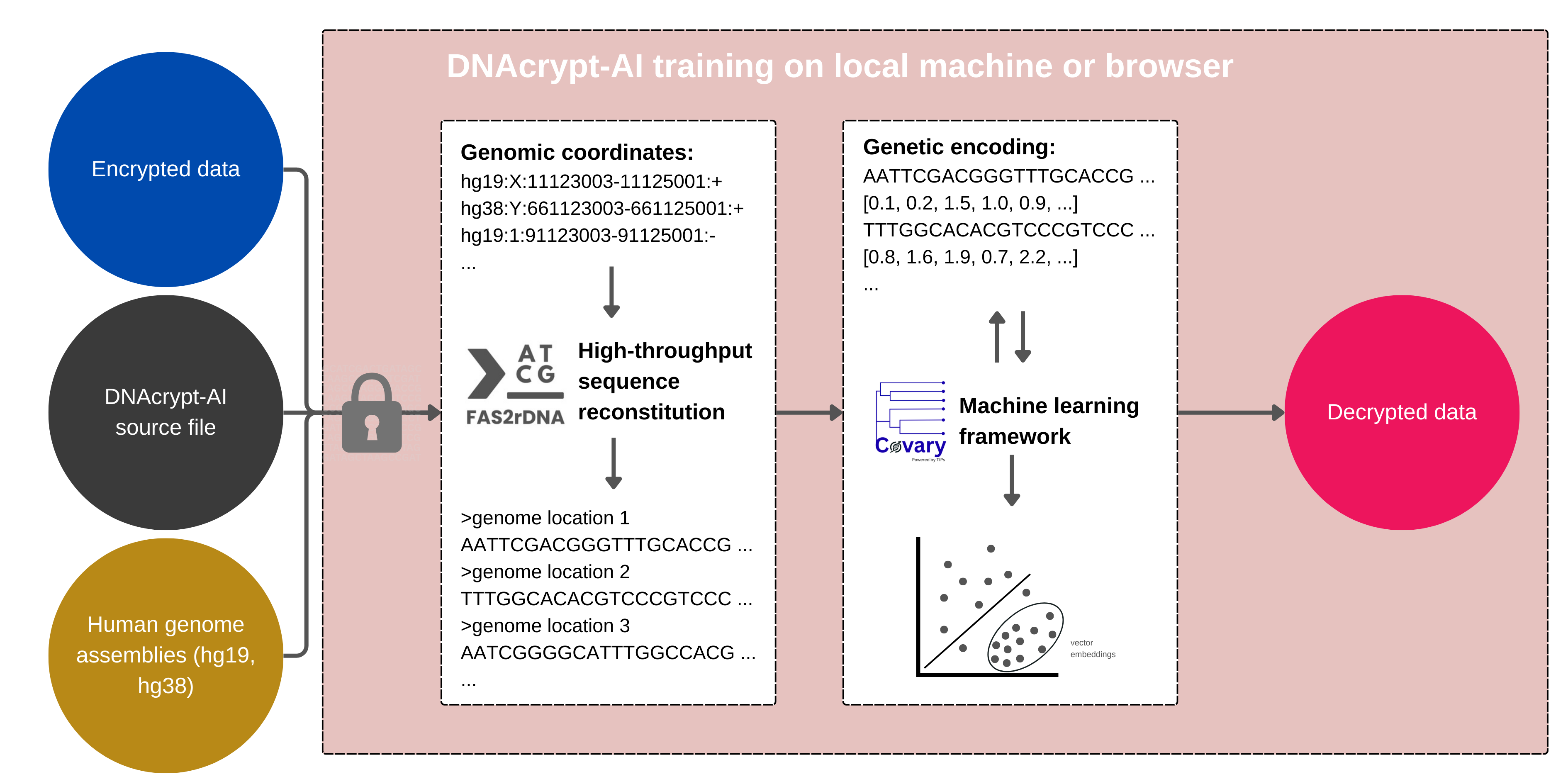 DNAcrypt-AI training workflow